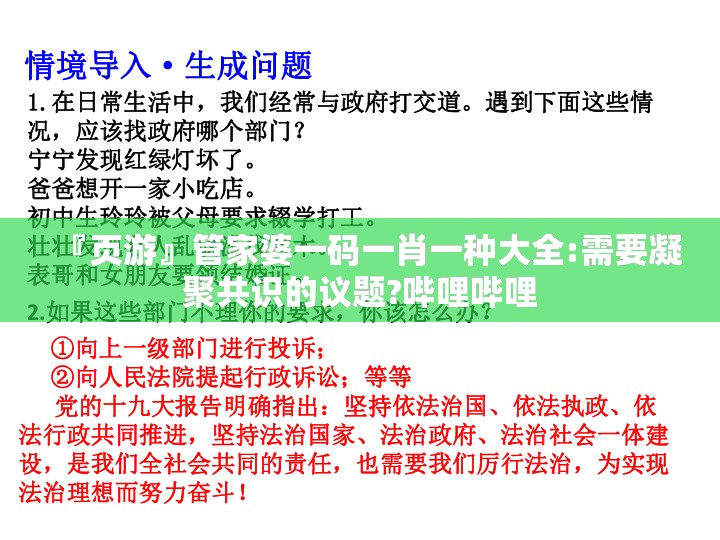 『页游』管家婆一码一肖一种大全:需要凝聚共识的议题?哔哩哔哩