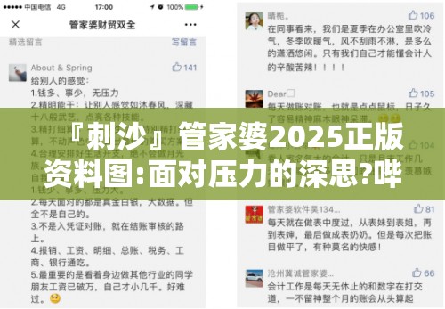 『刺沙』管家婆2025正版资料图:面对压力的深思?哔哩哔哩官网
