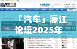 『汽车』濠江论坛2025年免费资料:新的见解与想法?哔哩哔哩官网