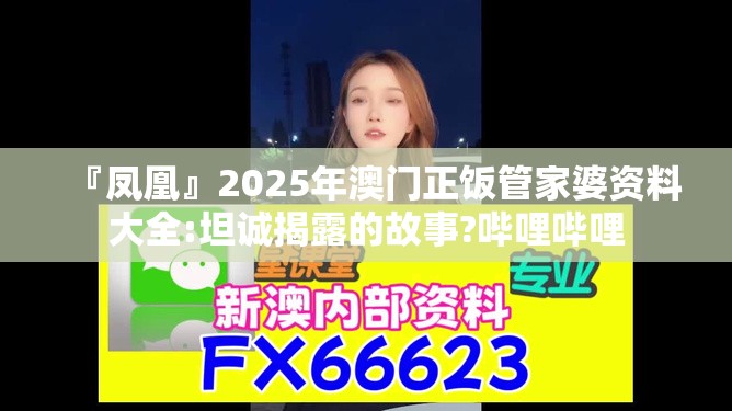 『凤凰』2025年澳门正饭管家婆资料大全:坦诚揭露的故事?哔哩哔哩