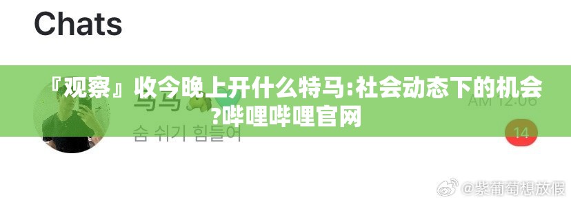 『观察』收今晚上开什么特马:社会动态下的机会?哔哩哔哩官网