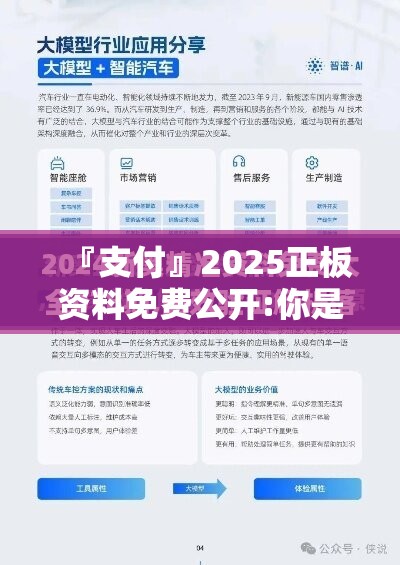 『支付』2025正板资料免费公开:你是否真的了解？bilibili