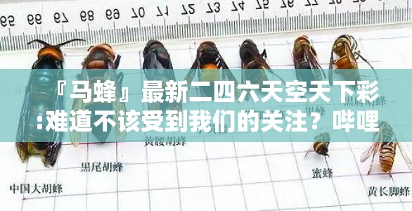 『马蜂』最新二四六天空天下彩:难道不该受到我们的关注？哔哩哔哩官网