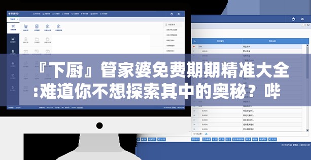 『下厨』管家婆免费期期精准大全:难道你不想探索其中的奥秘？哔哩哔哩