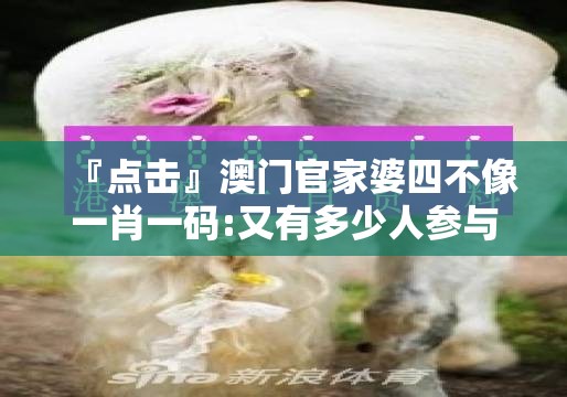 『点击』澳门官家婆四不像一肖一码:又有多少人参与其中？哔哩哔哩官网