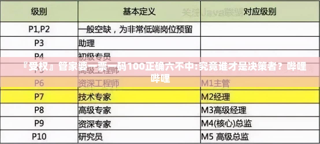 『受权』管家婆一票一码100正确六不中:究竟谁才是决策者？哔哩哔哩