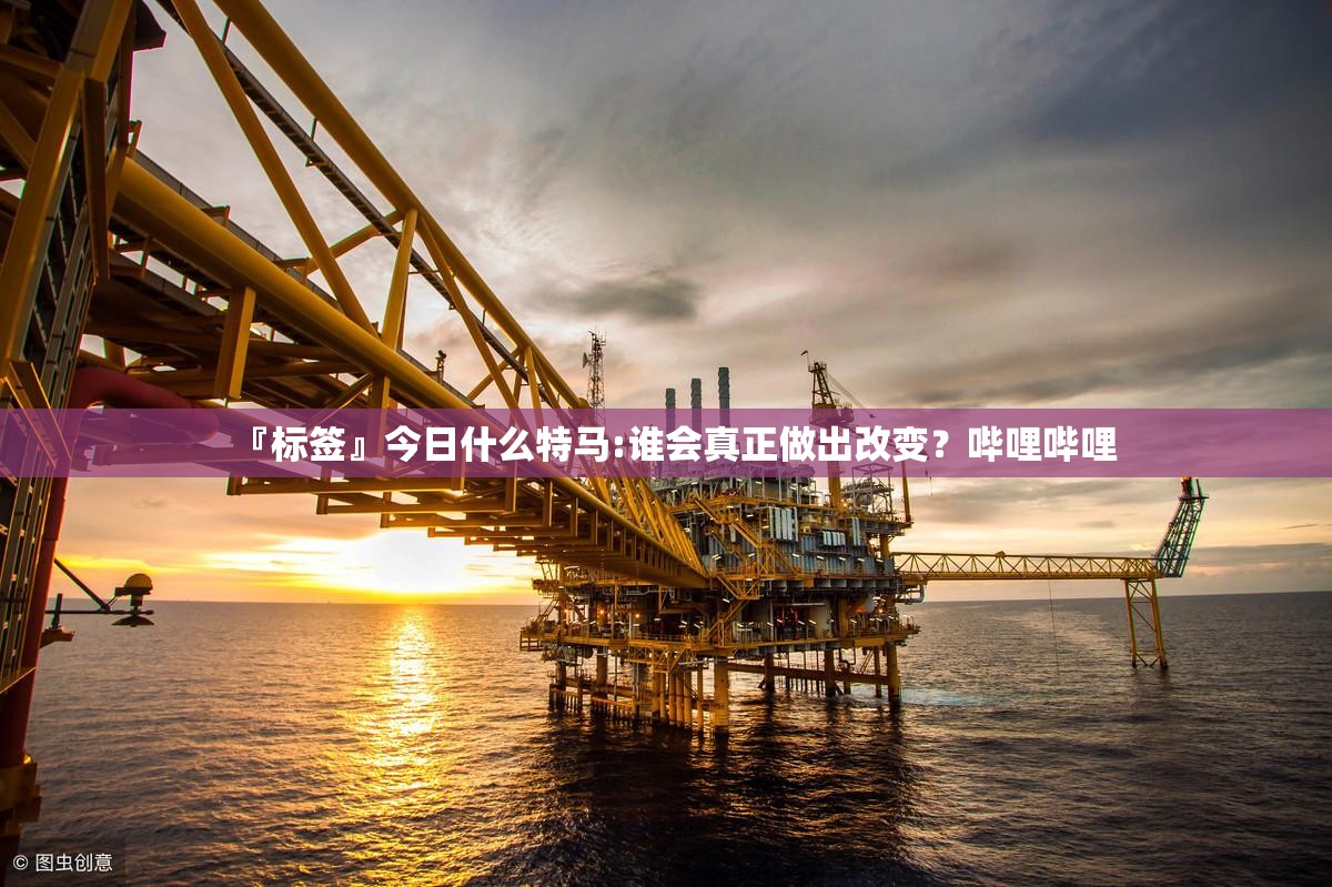 『标签』今日什么特马:谁会真正做出改变？哔哩哔哩