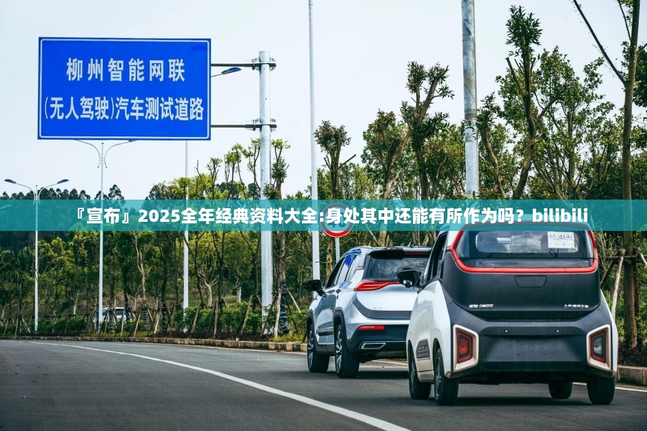 『宣布』2025全年经典资料大全:身处其中还能有所作为吗？bilibili