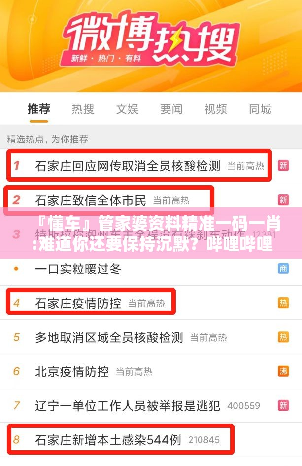 『懂车』管家婆资料精准一码一肖:难道你还要保持沉默？哔哩哔哩官网
