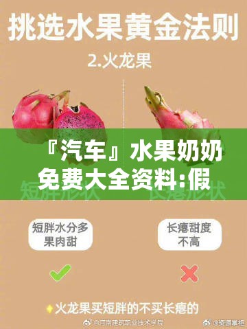 『汽车』水果奶奶免费大全资料:假如不去关注会怎样？构建作答落实解释