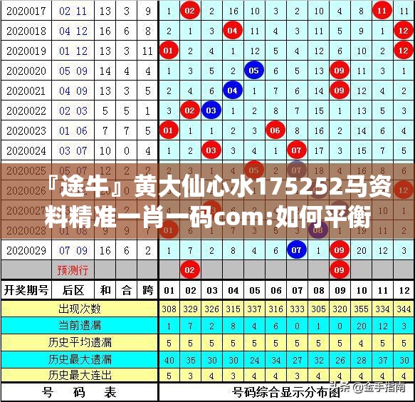 『途牛』黄大仙心水175252马资料精准一肖一码com:如何平衡关注的点？非凡解释落实