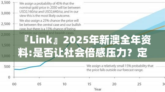 『Link』2025年新澳全年资料:是否让社会倍感压力？定量作答落实解释