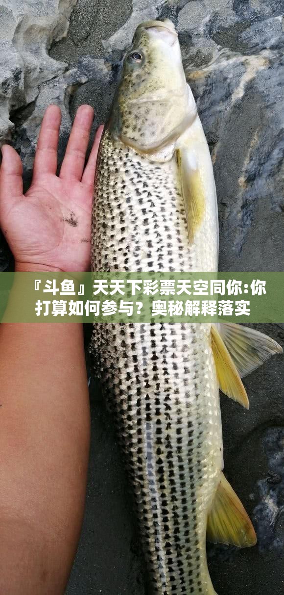 『斗鱼』天天下彩票天空同你:你打算如何参与？奥秘解释落实