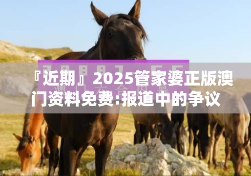 『近期』2025管家婆正版澳门资料免费:报道中的争议?创新解释落实