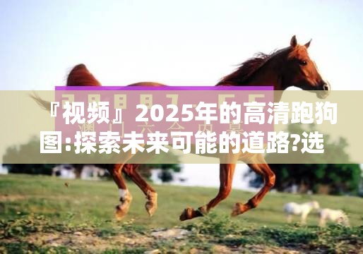 『视频』2025年的高清跑狗图:探索未来可能的道路?选择作答落实解释