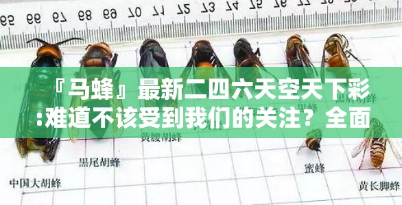 『马蜂』最新二四六天空天下彩:难道不该受到我们的关注？全面解答与解释