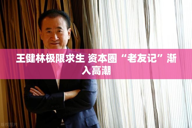 王健林极限求生 资本圈“老友记”渐入高潮