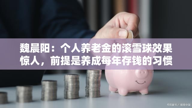 魏晨阳：个人养老金的滚雪球效果惊人，前提是养成每年存钱的习惯