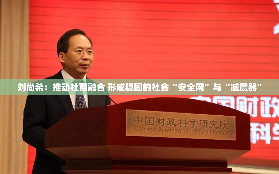 刘尚希：推动社商融合 形成稳固的社会“安全网”与“减震器”