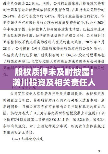 股权质押未及时披露！瀚川投资及相关责任人被出具警示函