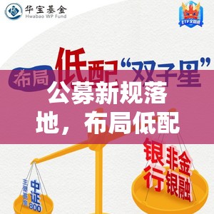 公募新规落地，布局低配“双子星”