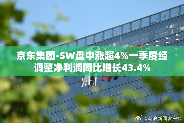 京东集团-SW盘中涨超4%一季度经调整净利润同比增长43.4%