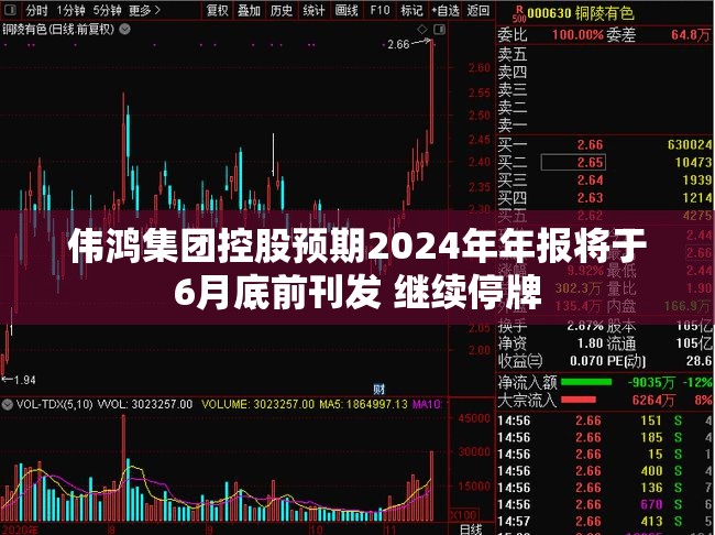 伟鸿集团控股预期2024年年报将于6月底前刊发 继续停牌