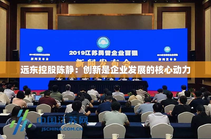 远东控股陈静：创新是企业发展的核心动力