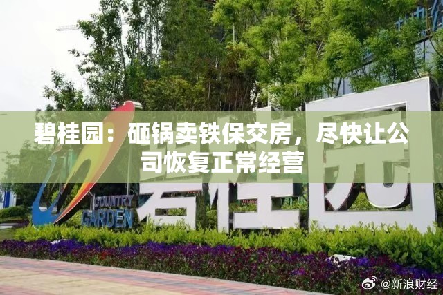碧桂园：砸锅卖铁保交房，尽快让公司恢复正常经营