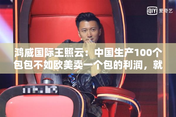 鸿威国际王照云：中国生产100个包包不如欧美卖一个包的利润，就因为我们不是IP大国