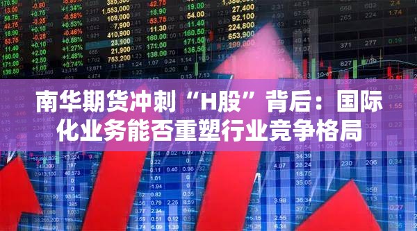 南华期货冲刺“H股”背后：国际化业务能否重塑行业竞争格局