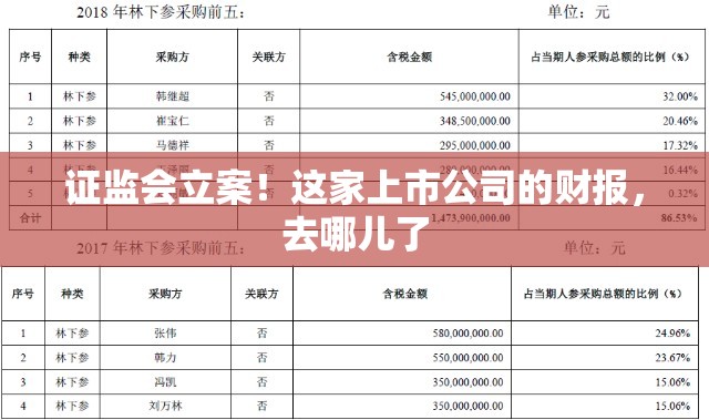 证监会立案！这家上市公司的财报，去哪儿了