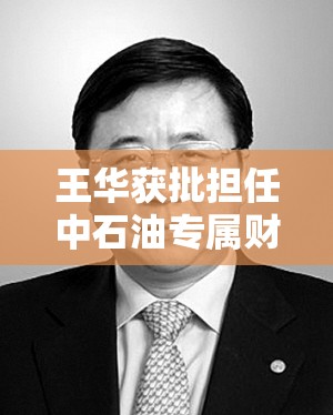 王华获批担任中石油专属财险公司董事长