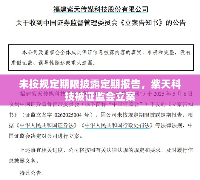 未按规定期限披露定期报告，紫天科技被证监会立案
