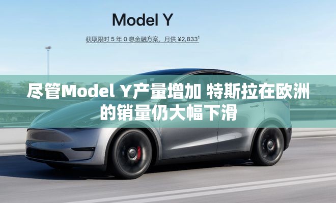 尽管Model Y产量增加 特斯拉在欧洲的销量仍大幅下滑