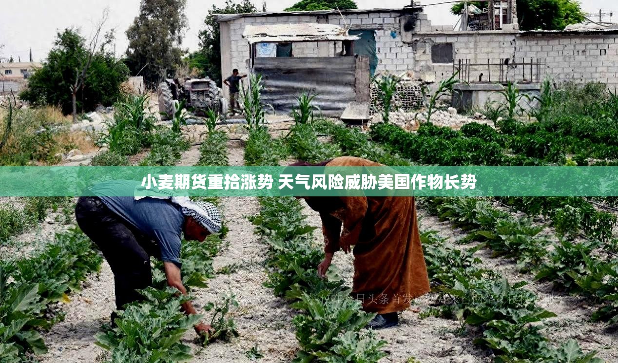 动漫 第9页
