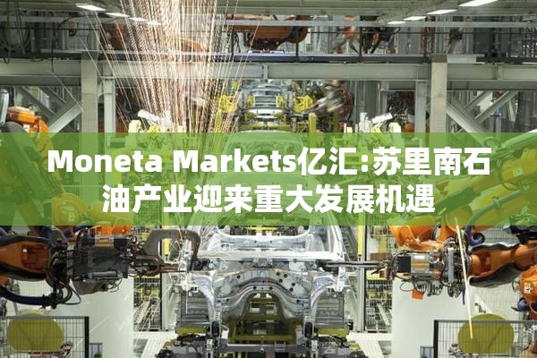Moneta Markets亿汇:苏里南石油产业迎来重大发展机遇