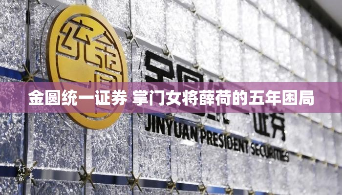 金圆统一证券 掌门女将薛荷的五年困局