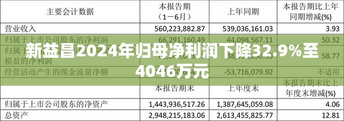 新益昌2024年归母净利润下降32.9%至4046万元