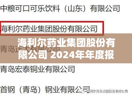 海利尔药业集团股份有限公司 2024年年度报告摘要