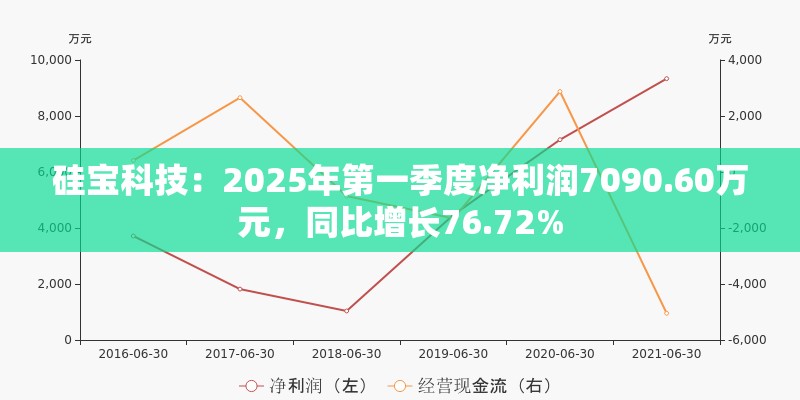 硅宝科技：2025年第一季度净利润7090.60万元，同比增长76.72%