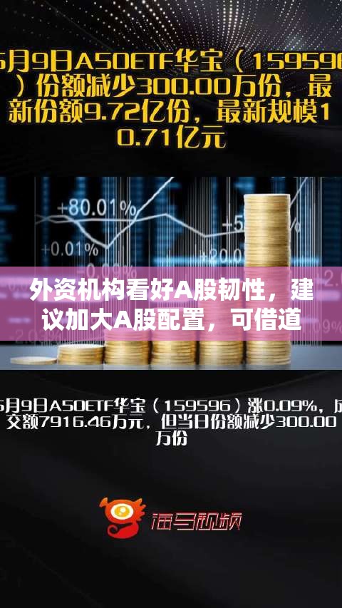 外资机构看好A股韧性，建议加大A股配置，可借道A50ETF华宝（159596）布局