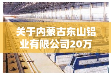 关于内蒙古东山铝业有限公司20万吨电解铝建设项目产能置换方案的公告