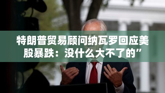 特朗普贸易顾问纳瓦罗回应美股暴跌：没什么大不了的”