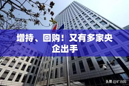 增持、回购！又有多家央企出手