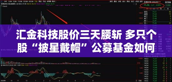 汇金科技股价三天腰斩 多只个股“披星戴帽”公募基金如何“避雷”