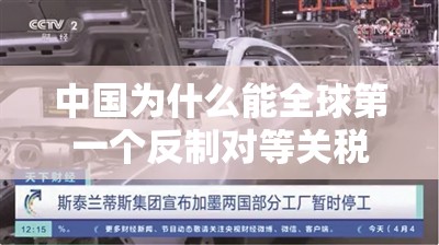 中国为什么能全球第一个反制对等关税