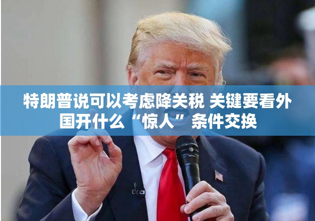特朗普说可以考虑降关税 关键要看外国开什么“惊人”条件交换