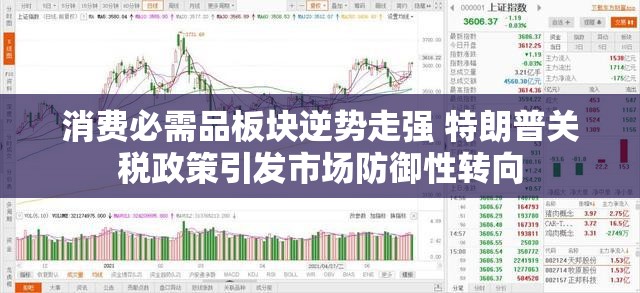 消费必需品板块逆势走强 特朗普关税政策引发市场防御性转向