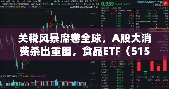 关税风暴席卷全球，A股大消费杀出重围，食品ETF（515710）逆市涨逾1%AI双子星”下探新低，资金默契抢筹